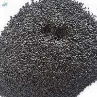 Basil Seed / Tukmaria