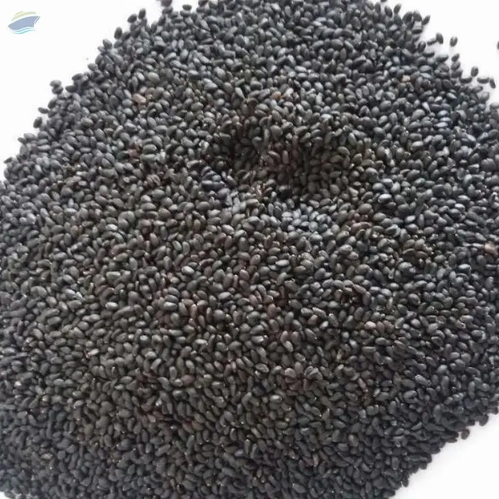 Basil Seed / Tukmaria