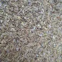 Dill Seed