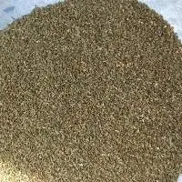 Celery Seed