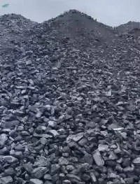 Coal