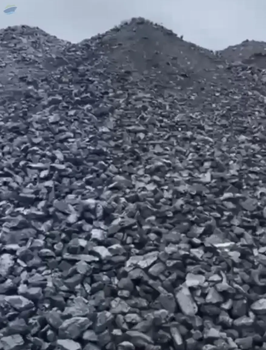 Coal