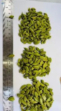 Premium Quality Natural Green Cardamom Pods 