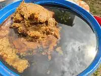 Premium Raw Batana Oil