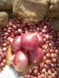 Dry Red Onion