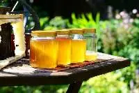 Organic Honey