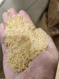 Basmati / Non Basmati Rice