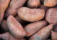 Sweet Potatoes