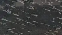 Fish Black Granite