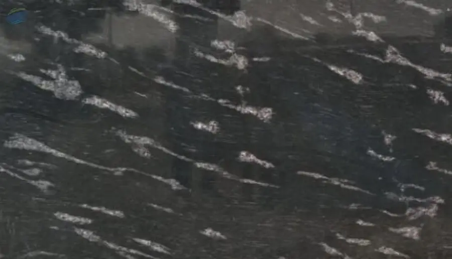 Fish Black Granite