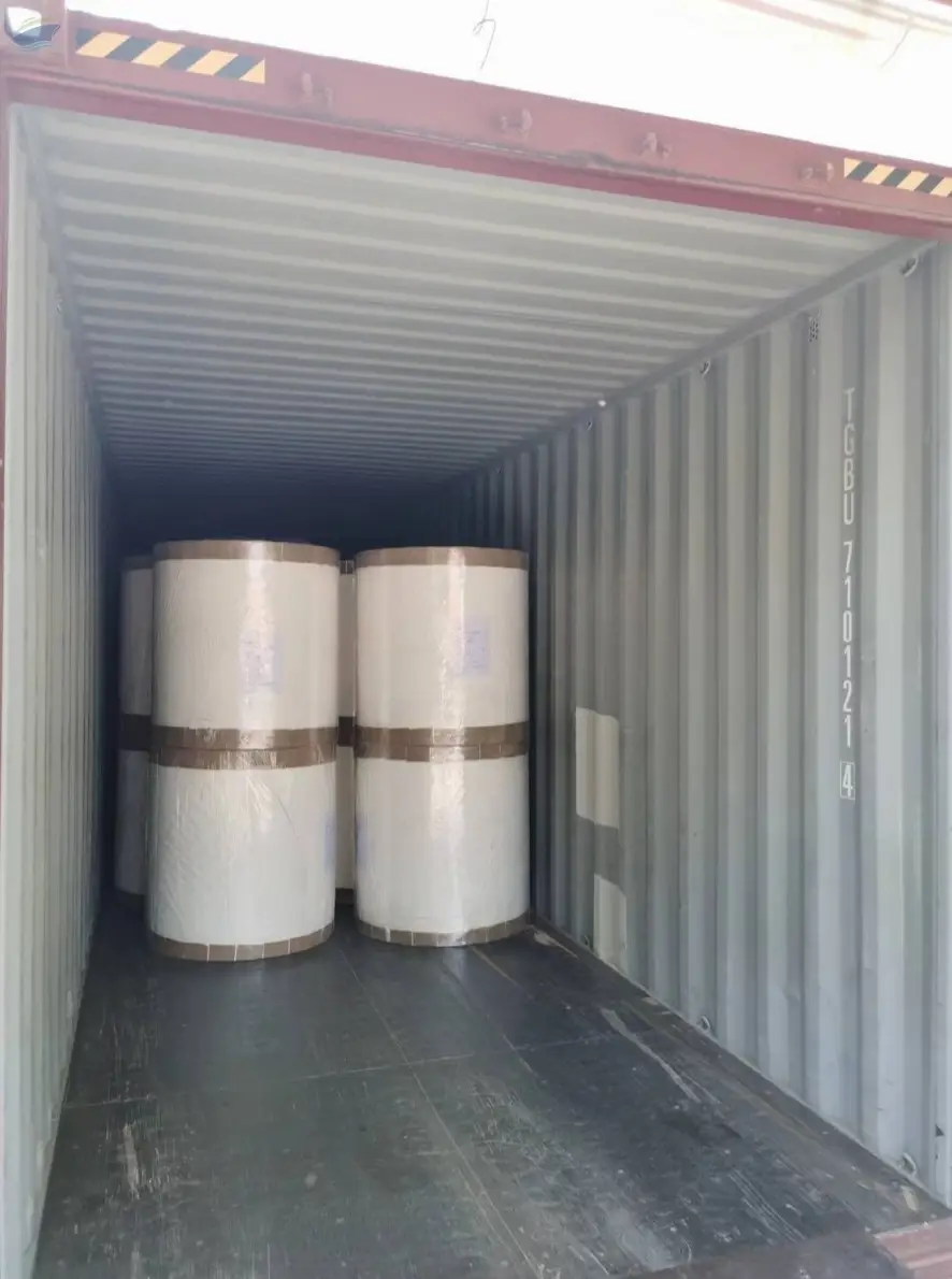 PE Coated Paper For Packaging