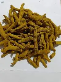 Polished Turmeric Finger