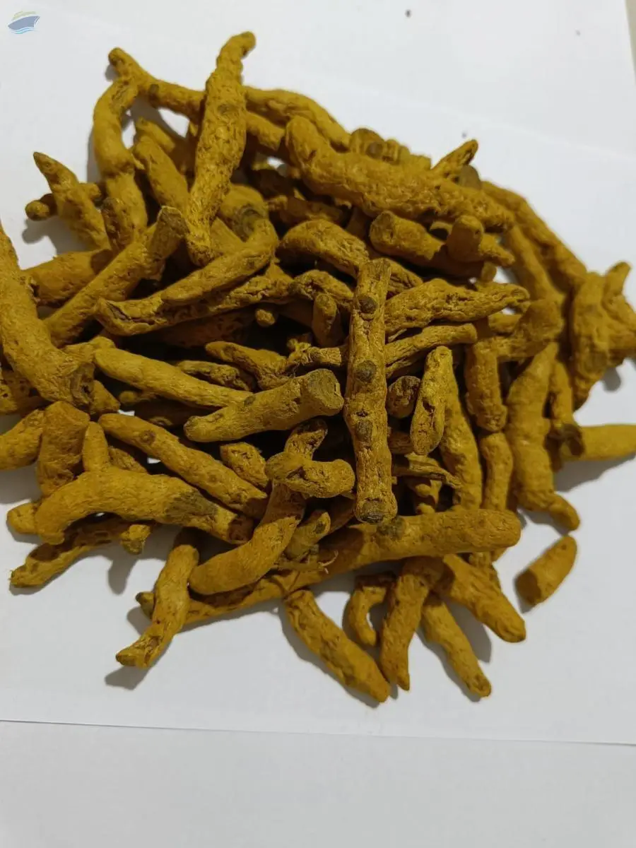 Polished Turmeric Finger