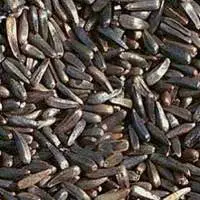Niger Seeds