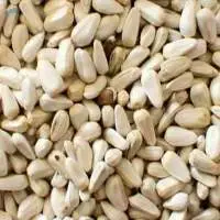Safflower Seeds