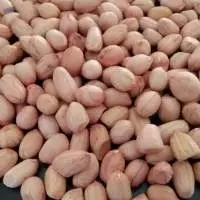 Premium Grade Java/Bold Peanuts