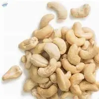 Premium Cashew Nuts