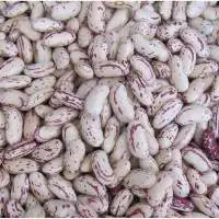 Organic Kidney Beans