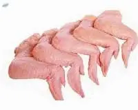 Frozen Chicken Wings/Paws/Feet