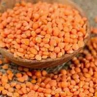 Whole & Split Lentils