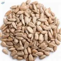 Non GMO Sunflower Seed/Kernel
