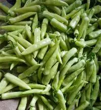Fresh Vegetables