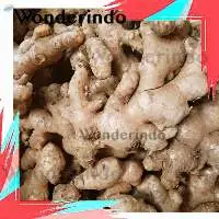 Ginger / Zingiber Officinale