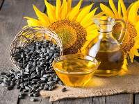 Sunflower Seed Oil Refined Deodorized Winterized