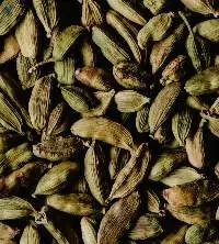 Cardamom