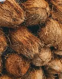 Semi Husked Coconut