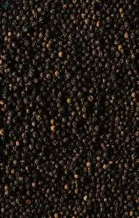 Black Pepper