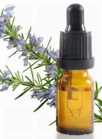Rosemary Extract