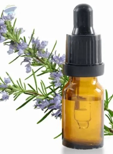 Rosemary Extract