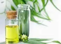 Lemongrass Oil