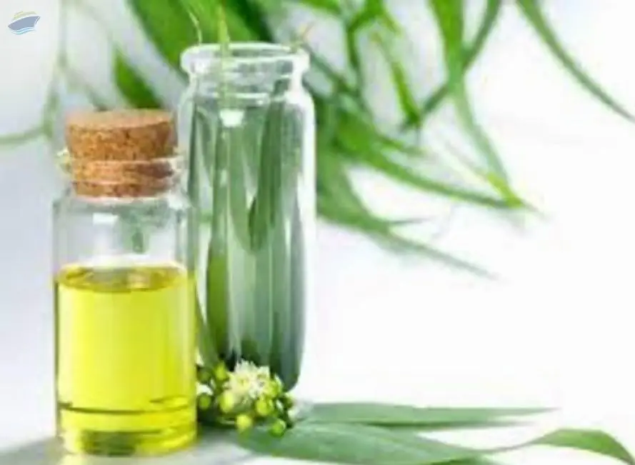 Lemongrass Oil