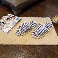 Room Slipper
