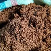 Coco Peat