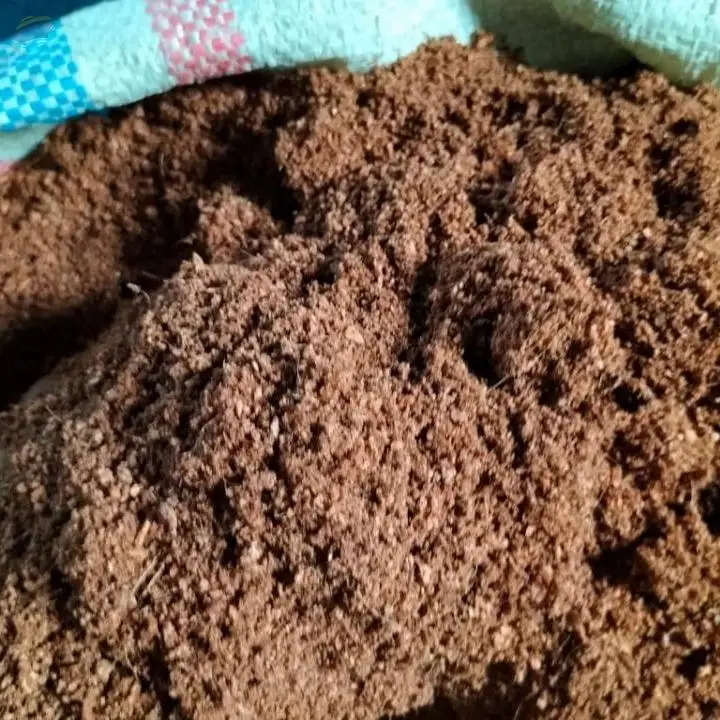 Coco Peat