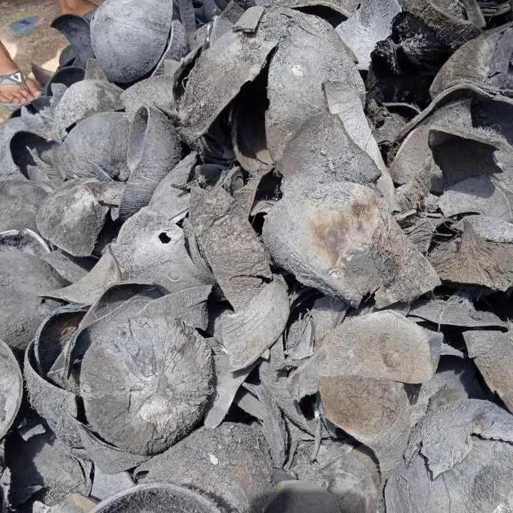 Coconut Charcoal