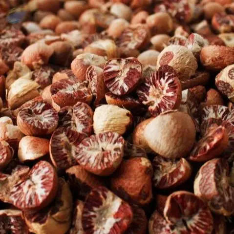 Betel Nut