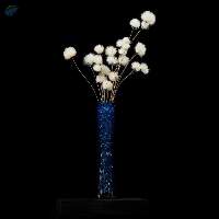 Snow White Dried Flowers