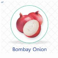 Bombay Onion