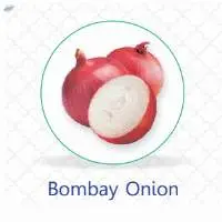 Bombay Onion