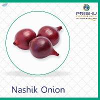 Nashik Onion