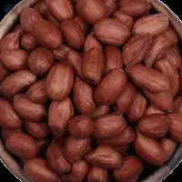 Peanuts