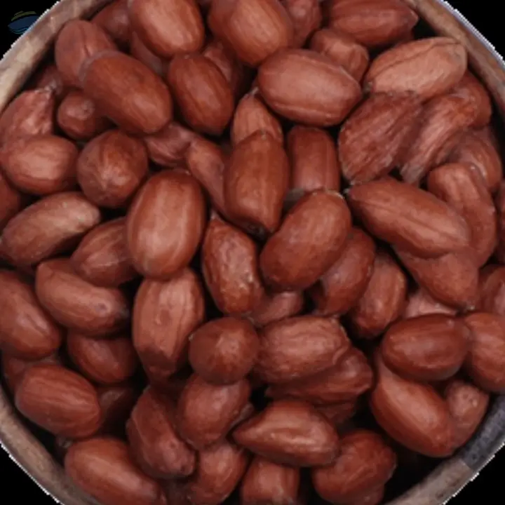 Peanuts