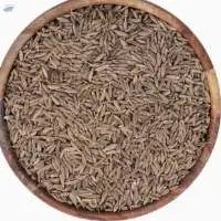 Cumin Seeds