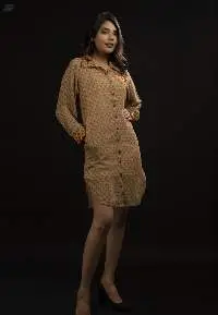 Jaal Print Shirt Dress With Floral Embroidery