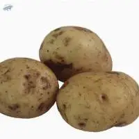 Organic Potatoes