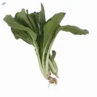 Organic Mustard Green
